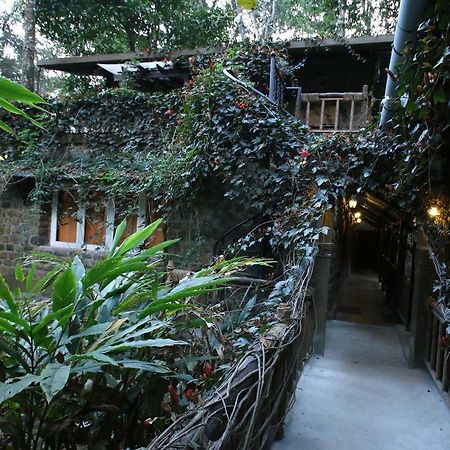 Greenspaces B&B Munnar Buitenkant foto
