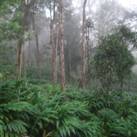 Greenspaces B&B Munnar Buitenkant foto