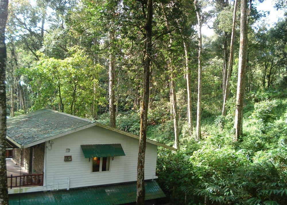 Greenspaces B&B Munnar Buitenkant foto