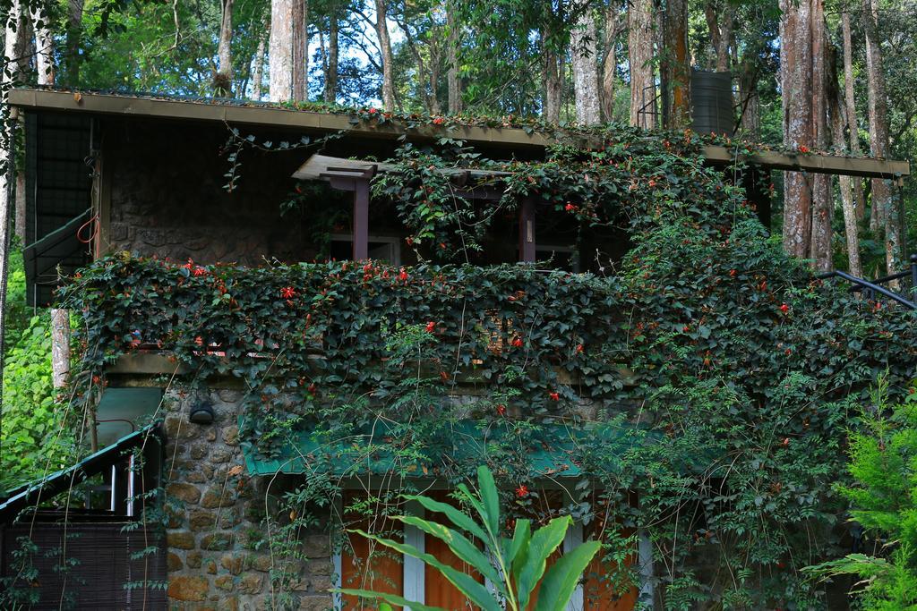 Greenspaces B&B Munnar Buitenkant foto