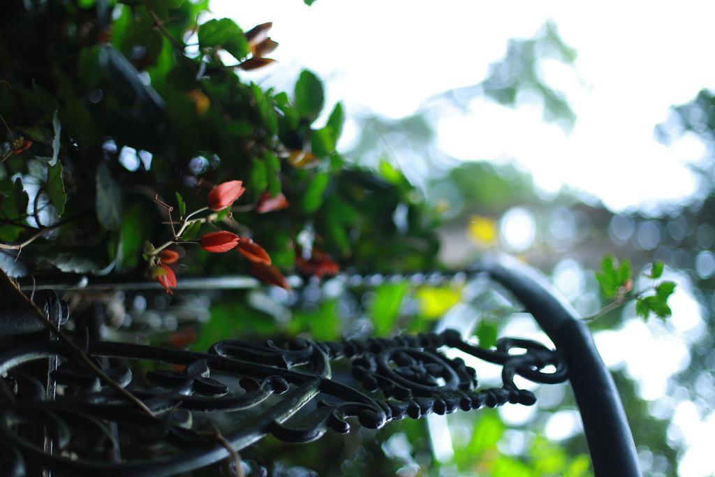 Greenspaces B&B Munnar Buitenkant foto