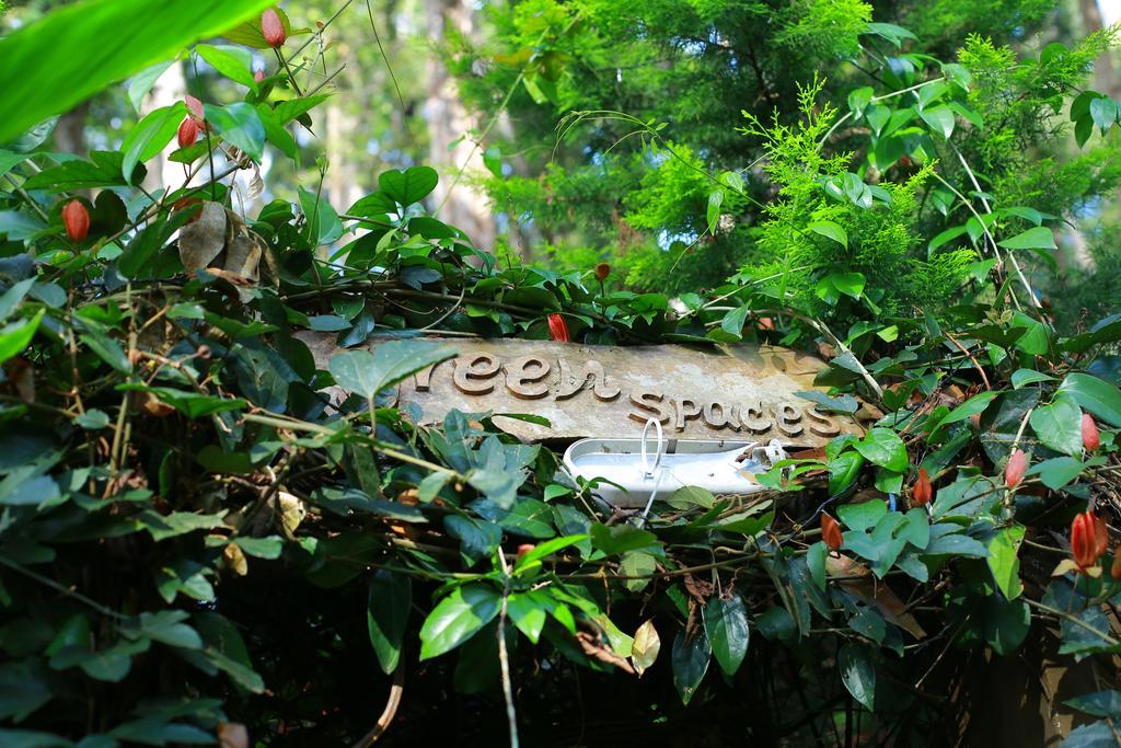 Greenspaces B&B Munnar Buitenkant foto