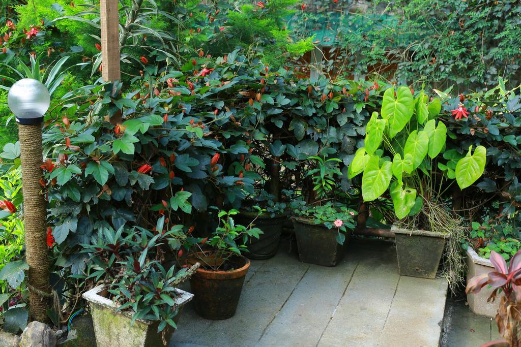 Greenspaces B&B Munnar Buitenkant foto
