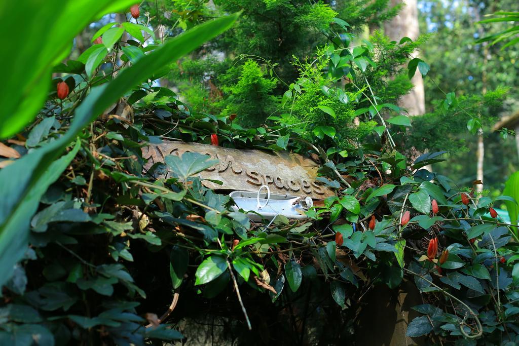 Greenspaces B&B Munnar Buitenkant foto