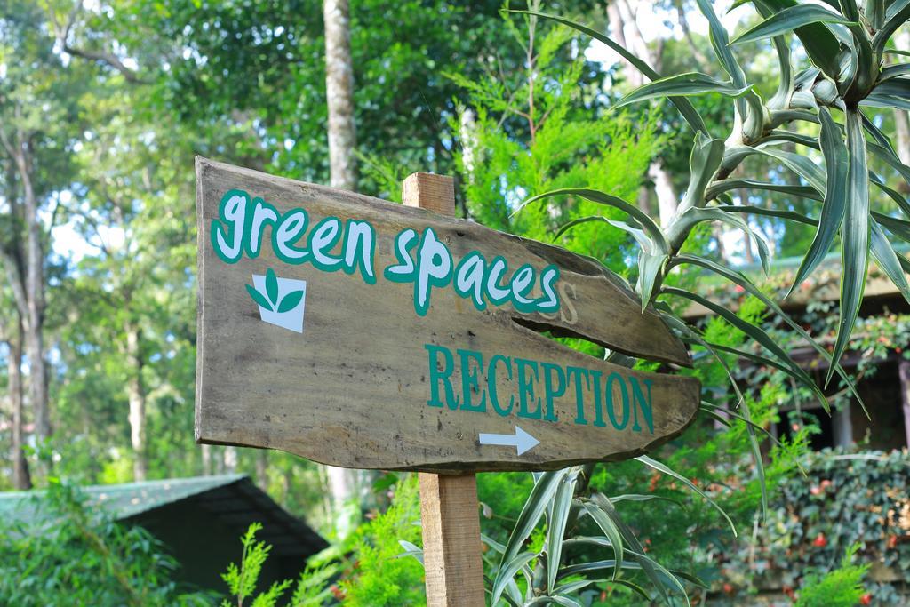 Greenspaces B&B Munnar Buitenkant foto