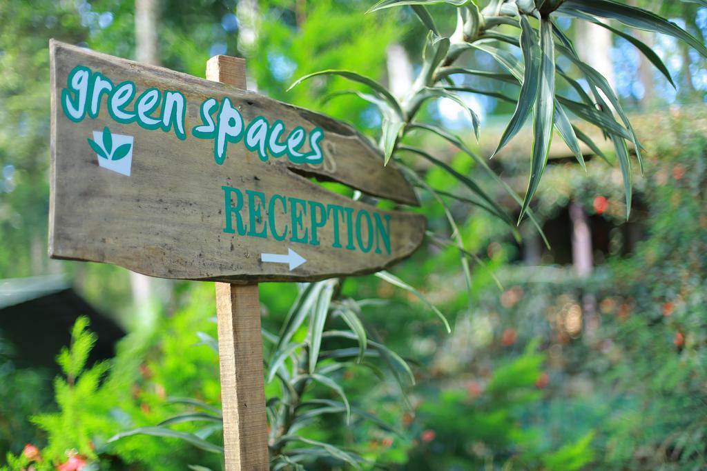 Greenspaces B&B Munnar Buitenkant foto