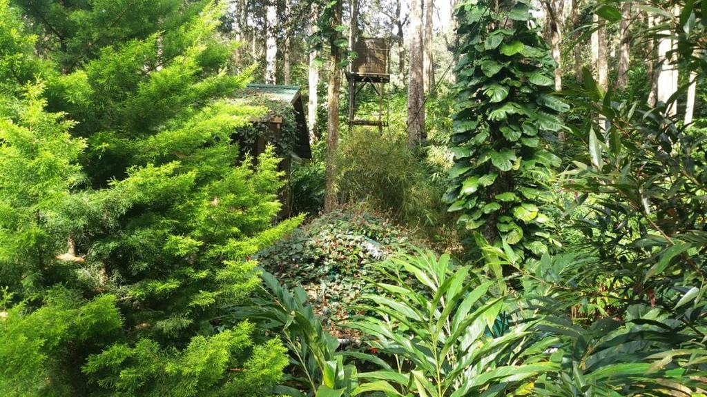 Greenspaces B&B Munnar Buitenkant foto