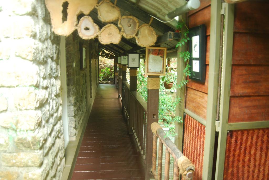 Greenspaces B&B Munnar Buitenkant foto