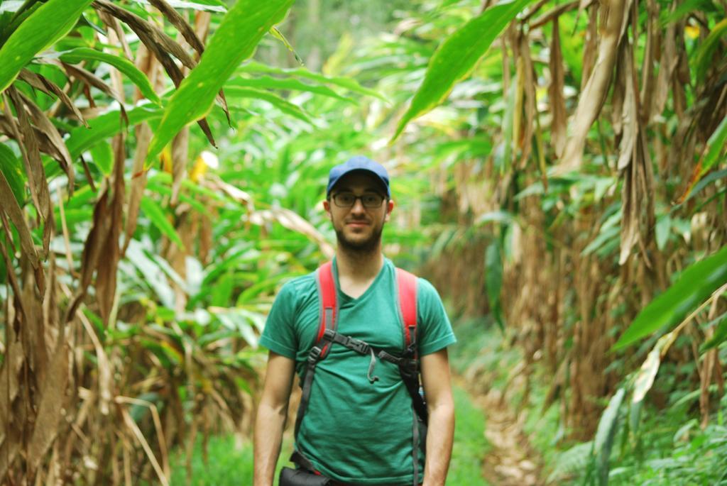 Greenspaces B&B Munnar Buitenkant foto