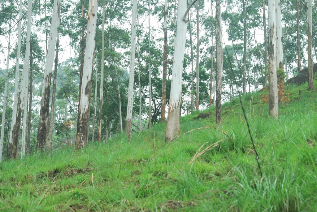 Greenspaces B&B Munnar Buitenkant foto