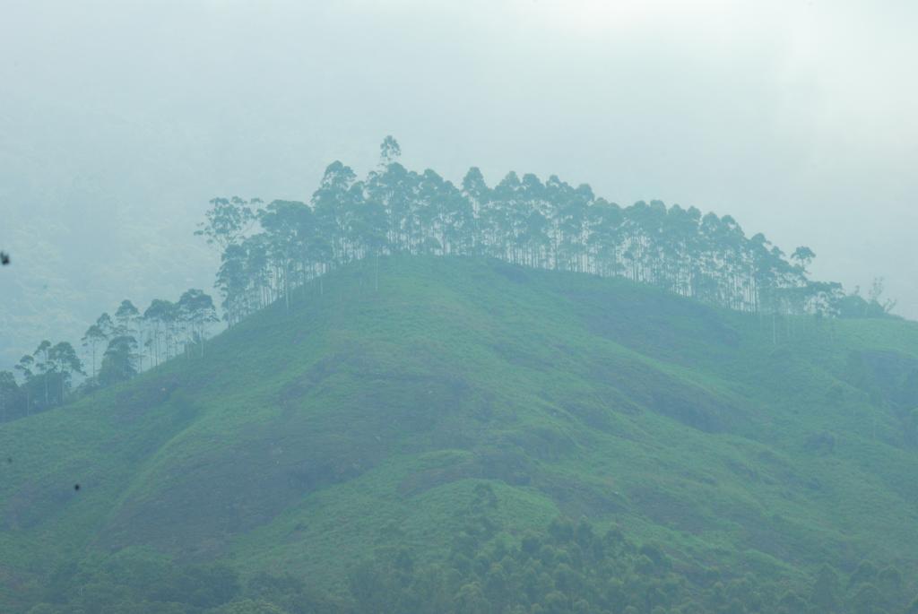 Greenspaces B&B Munnar Buitenkant foto