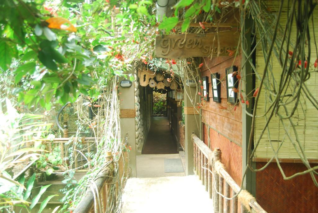 Greenspaces B&B Munnar Buitenkant foto