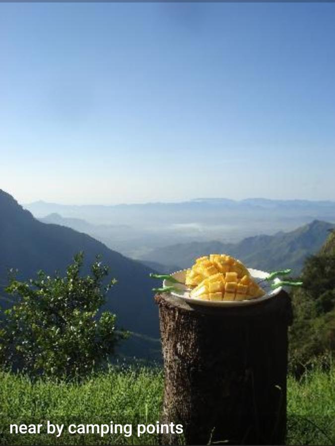Greenspaces B&B Munnar Buitenkant foto