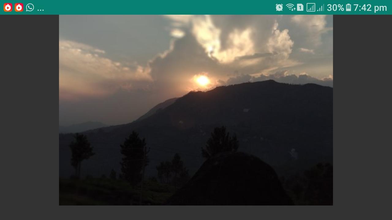 Greenspaces B&B Munnar Buitenkant foto