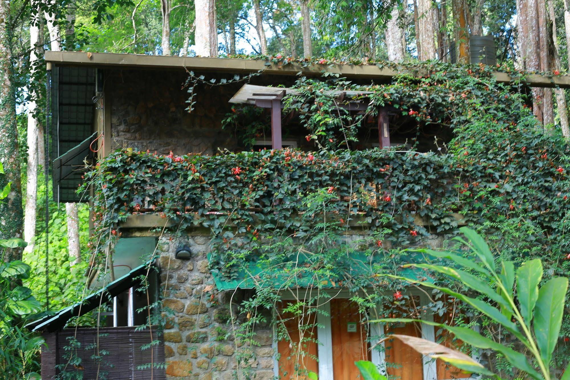 Greenspaces B&B Munnar Buitenkant foto